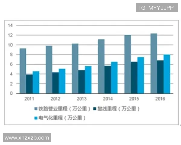 成都排球队个人能力分析与表现评估研究报告 成都排球队个人能力分析与表现评估研究报告