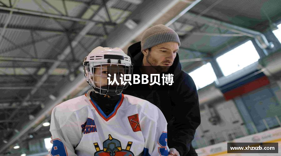 认识BB贝博